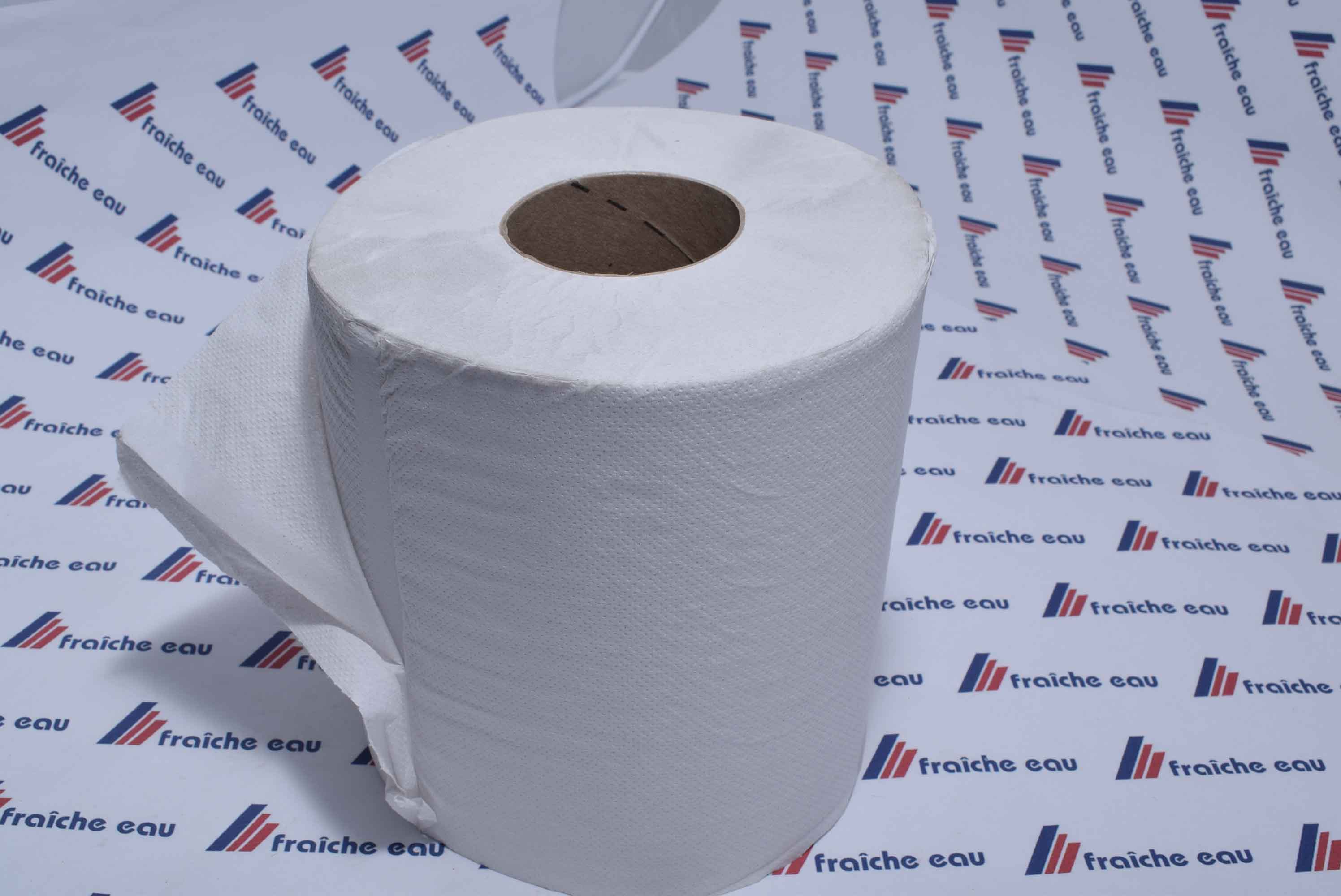 rouleau de papier absorbant 2 plis, papier essuie tout à ottignies,  nivelles, jodoigne, Hannut, gembloux, Louvain