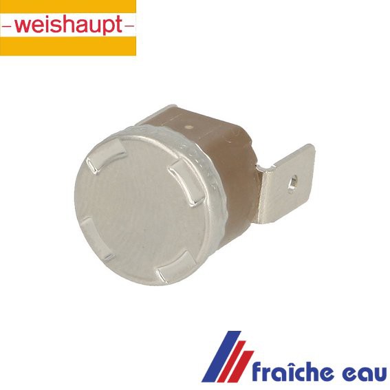 interrupteur de température , klickson , Weishaupt Interrupteur de  température 1 NT 02 F-0290 F55-17 article 690166