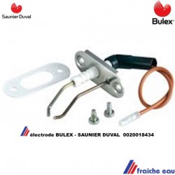 bloc électrode BULEX 0020018434 remplacé par 0010043328 kit d'entretien bougie de contrôle SAUNIER DUVAL