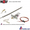 bloc veilleuse WOLF 8750018 , ce bloc de veilleuse avec électrode d'ionisation et flexible comme  veilleuse universelle