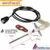 détection de flamme par ionisation pour chaudière WEISHAUPT WTC 45-60 A  article 481  401 3008 2