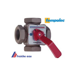 vanne mélangeuse 4 voies 6/4" FFFF TEMPOLEC avec poignée prévue pour le moteur SM100 R