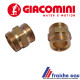 raccord droit   GIACOMINI filetage 3/4" femelle x AA 22 pour tube multiskin ø 26 x 3 mm