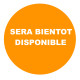 moteur de circulateur BULEX S 1061800 , tête de remplacement de pompe pour THEMAPLUS , pompe de charge pour SAUNIER DUVAL