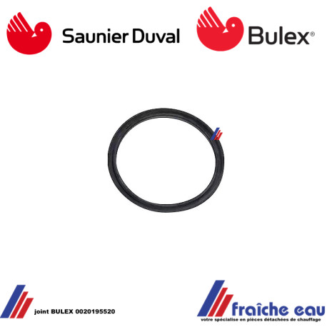 Joint BULEX - SAUNIER DUVAL 0020195520