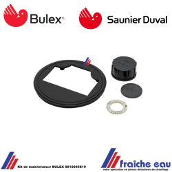 Kit de maintenance, d'entretien petit BULEX 0010045819