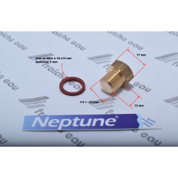bouchon de l'orifice de remplissage en laiton avec joint pour la pompe NEPTUNE pour amorcer le groupe hydrophore