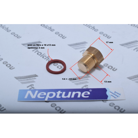 bouchon de l'orifice de remplissage en laiton avec joint pour la pompe NEPTUNE pour amorcer le groupe hydrophore
